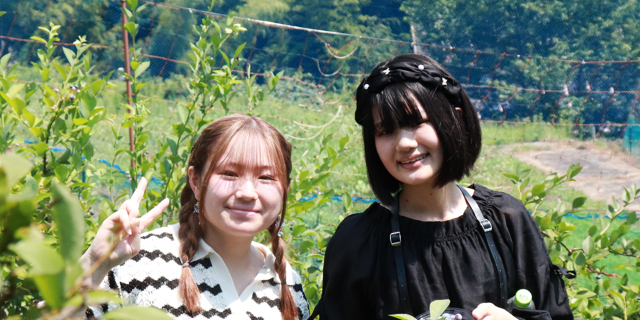 興学社高等学院